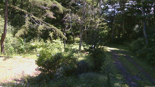 長野県菅平高原 ゆたか山荘 坂上 2026/09/05 12:15