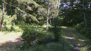 長野県菅平高原 ゆたか山荘 坂上 2026/09/05 13:15