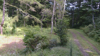 長野県菅平高原 ゆたか山荘 坂上 2026/09/05 13:30