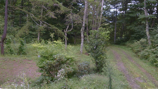 長野県菅平高原 ゆたか山荘 坂上 2026/09/05 13:45