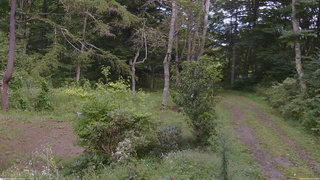 長野県菅平高原 ゆたか山荘 坂上 2026/09/05 14:00