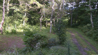 長野県菅平高原 ゆたか山荘 坂上 2026/09/05 15:00