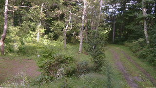 長野県菅平高原 ゆたか山荘 坂上 2026/09/05 15:30