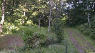 長野県菅平高原 ゆたか山荘 坂上 2026/09/05 16:00
