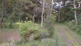 長野県菅平高原 ゆたか山荘 坂上 2026/09/05 17:00