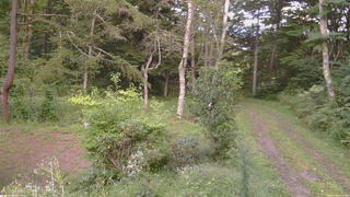 長野県菅平高原 ゆたか山荘 坂上 2026/09/05 17:15