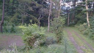 長野県菅平高原 ゆたか山荘 坂上 2026/09/05 17:30
