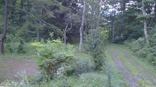 長野県菅平高原 ゆたか山荘 坂上 2026/09/05 17:45