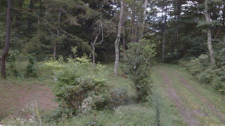 長野県菅平高原 ゆたか山荘 坂上 2026/09/05 18:15