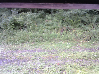 長野県菅平高原 ゆたか山荘 東側(坂下) 2026/09/06 08:00
