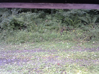 長野県菅平高原 ゆたか山荘 東側(坂下) 2026/09/06 08:15
