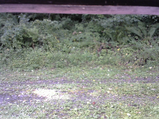 長野県菅平高原 ゆたか山荘 東側(坂下) 2026/09/06 08:30