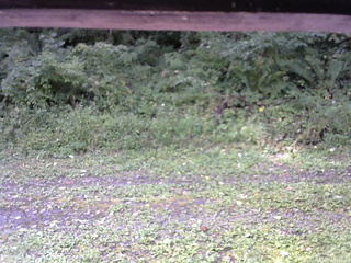 長野県菅平高原 ゆたか山荘 東側(坂下) 2026/09/06 09:00