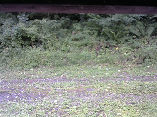 長野県菅平高原 ゆたか山荘 東側(坂下) 2026/09/06 11:45