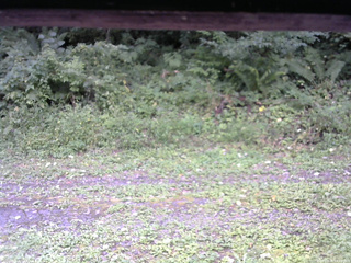 長野県菅平高原 ゆたか山荘 東側(坂下) 2026/09/06 13:45