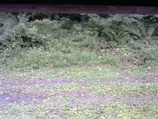 長野県菅平高原 ゆたか山荘 東側(坂下) 2026/09/06 14:30