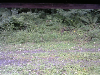 長野県菅平高原 ゆたか山荘 東側(坂下) 2026/09/06 14:45