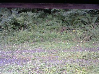 長野県菅平高原 ゆたか山荘 東側(坂下) 2026/09/06 15:15