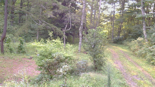 長野県菅平高原 ゆたか山荘 坂上 2026/09/06 06:00