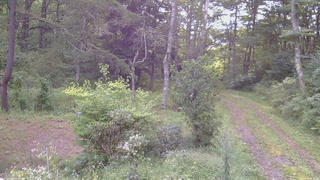長野県菅平高原 ゆたか山荘 坂上 2026/09/06 06:30