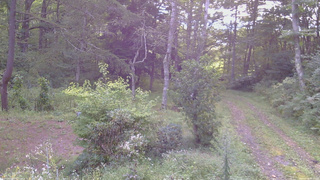 長野県菅平高原 ゆたか山荘 坂上 2026/09/06 07:15