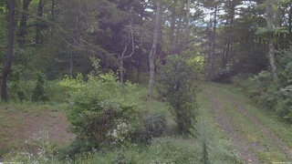 長野県菅平高原 ゆたか山荘 坂上 2026/09/06 08:00