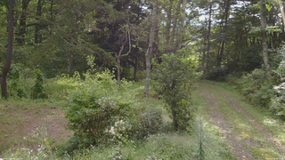 長野県菅平高原 ゆたか山荘 坂上 2026/09/06 08:15