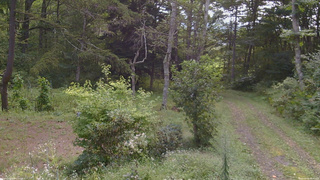 長野県菅平高原 ゆたか山荘 坂上 2026/09/06 08:45
