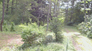 長野県菅平高原 ゆたか山荘 坂上 2026/09/06 09:00