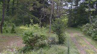 長野県菅平高原 ゆたか山荘 坂上 2026/09/06 09:15
