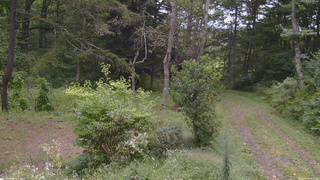 長野県菅平高原 ゆたか山荘 坂上 2026/09/06 09:30