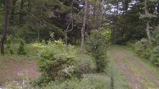 長野県菅平高原 ゆたか山荘 坂上 2026/09/06 09:45