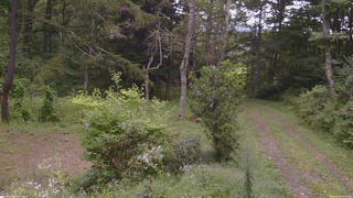 長野県菅平高原 ゆたか山荘 坂上 2026/09/06 10:00