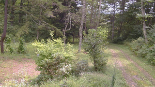 長野県菅平高原 ゆたか山荘 坂上 2026/09/06 10:30
