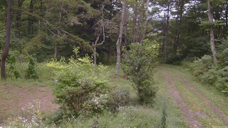 長野県菅平高原 ゆたか山荘 坂上 2026/09/06 10:45