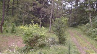 長野県菅平高原 ゆたか山荘 坂上 2026/09/06 11:00
