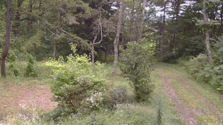 長野県菅平高原 ゆたか山荘 坂上 2026/09/06 11:15