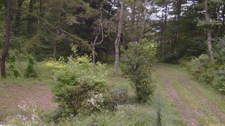 長野県菅平高原 ゆたか山荘 坂上 2026/09/06 11:30