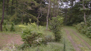 長野県菅平高原 ゆたか山荘 坂上 2026/09/06 11:45