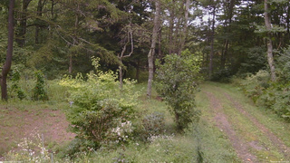 長野県菅平高原 ゆたか山荘 坂上 2026/09/06 12:00