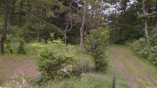 長野県菅平高原 ゆたか山荘 坂上 2026/09/06 12:30