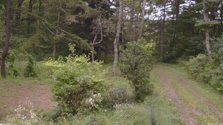 長野県菅平高原 ゆたか山荘 坂上 2026/09/06 12:45