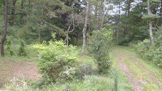 長野県菅平高原 ゆたか山荘 坂上 2026/09/06 13:00