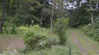 長野県菅平高原 ゆたか山荘 坂上 2026/09/06 13:15