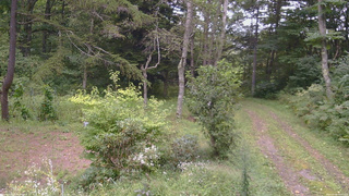 長野県菅平高原 ゆたか山荘 坂上 2026/09/06 13:45