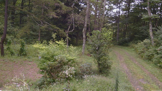 長野県菅平高原 ゆたか山荘 坂上 2026/09/06 14:00