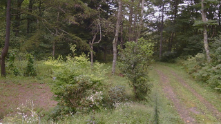 長野県菅平高原 ゆたか山荘 坂上 2026/09/06 14:30