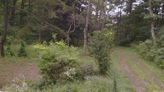 長野県菅平高原 ゆたか山荘 坂上 2026/09/06 14:45