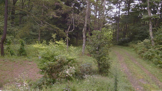 長野県菅平高原 ゆたか山荘 坂上 2026/09/06 15:00