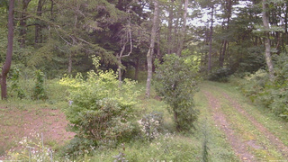 長野県菅平高原 ゆたか山荘 坂上 2026/09/06 15:30